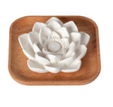 Passive Lotus Diffuser