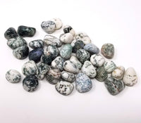 Gemstones/Crystals - 
Tumbled Stones Tree Agate - One Stone